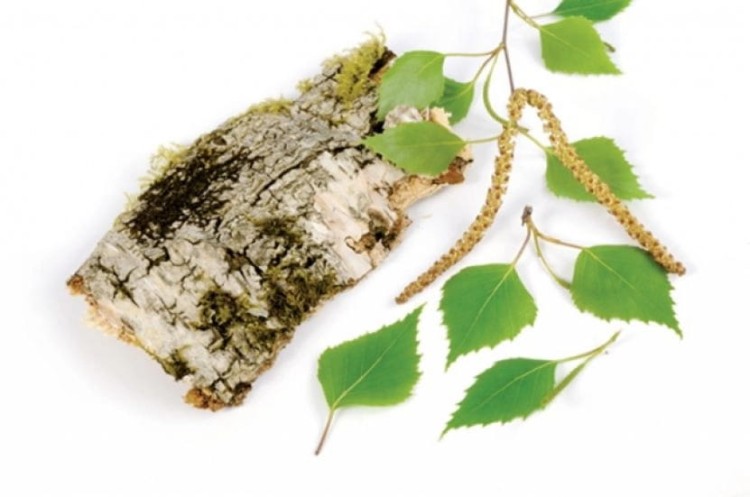 1a130943505cb9c5b26590668cdce765