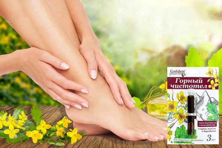 ee9e00ab6525da8586fa23e2c4964ec7