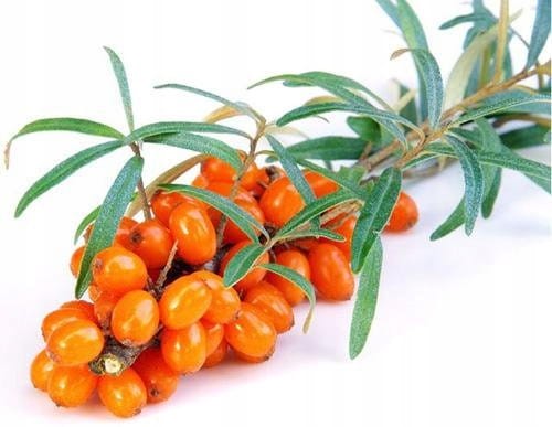 6b851f3b65045d297c190a0526263cce