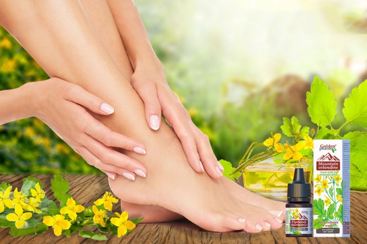 Glistnik Jaskółcze ziele ekstrakt