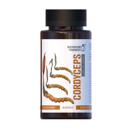 kordyceps-ekstrakt-8-1-golden-pharm-60-kaps-maczuznik-chinski