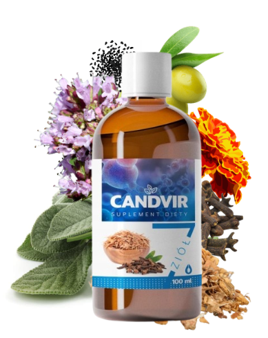 8e80e6005a7bd27cddb9ec1bc21140a4