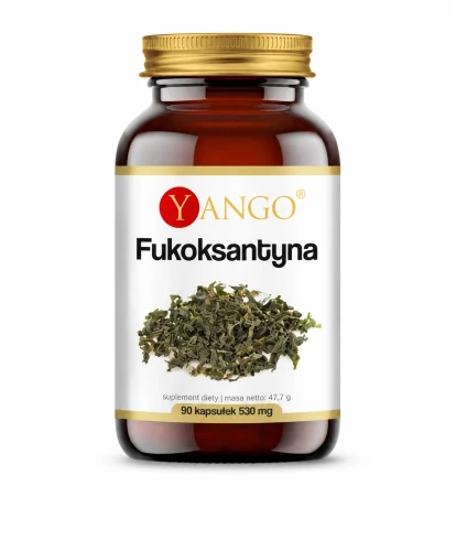 yango KF298 170.webp