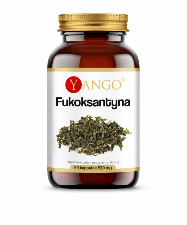 yango KF298 170.webp