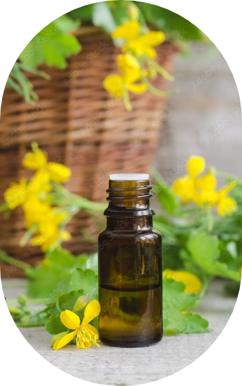 Kurzajki brodawki glistnik